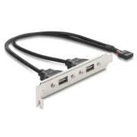 DELOCK κάρτα επέκτασης USB 9pin σε 2x USB 2.0 91800, 480Mbps