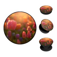 Pop Holder Sonique Sunset in Eden Series Tulip Velvet