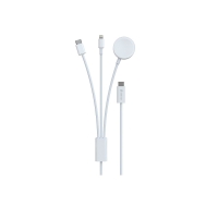 Devia cable 3in1 Smart EA520 USB-C - USB-C + Lightning white with inductive magnetic charger for Apple Watch