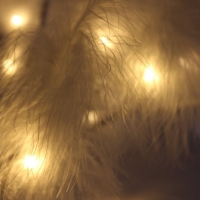 hover image