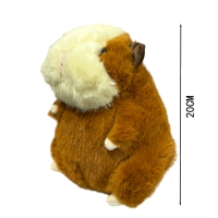 hover image