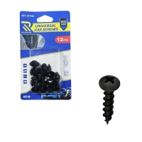 Rchang Βίδες Αυτοκινήτου Universal W17669 – Σετ 12 Τεμαχίων - Car Screws