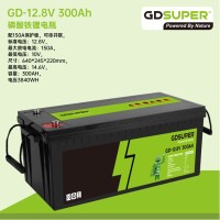 GDSUPER ΜΠΑΤΑΡΙΑ ΛΙΘΙΟΥ 12.8V 300AH GD-06969