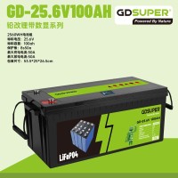 GDSUPER ΜΠΑΤΑΡΙΑ ΛΙΘΙΟΥ 25.6V 100AH GD-06970