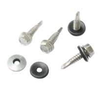 ΑΥΤΟΔΙΑΤΡΗΤΕΣ ΒΙΔΕΣ 20ΤΜΧ 5.5*25MM EP-40144