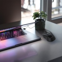 hover image