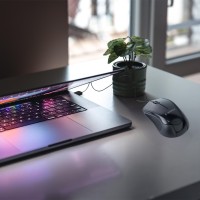 hover image