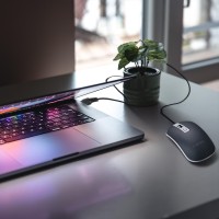 hover image