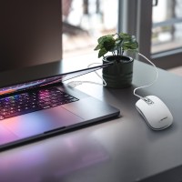 hover image