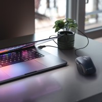 hover image