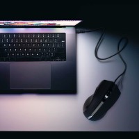 hover image