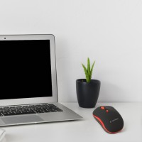 hover image
