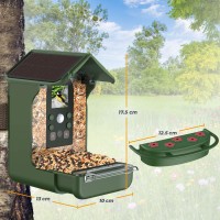 hover image