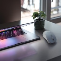 hover image