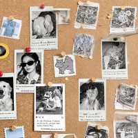 hover image