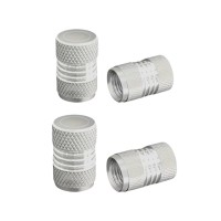 Καπάκι βαλβίδας ελαστικών αυτοκινήτου - R-Z17109-4U - 140526 - Silver