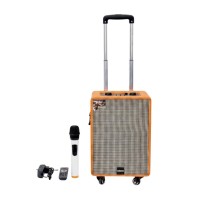 Φορητό ηχείο subwoofer με μικρόφωνο Karaoke - QS-853 - 260752